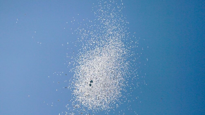 Israel previously dropped leaflets over northern Gaza, urging Palestinian citizens to head south (File Image)