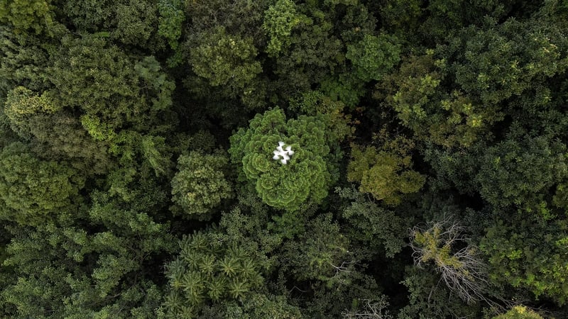A drone doing a forest restoration survey over a reforested area in Chiang Mai, Thailand
