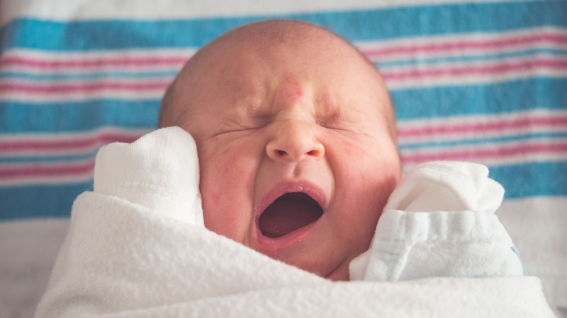 You could have called me Rudi, you know. Photo: Tim Bish/Unsplash