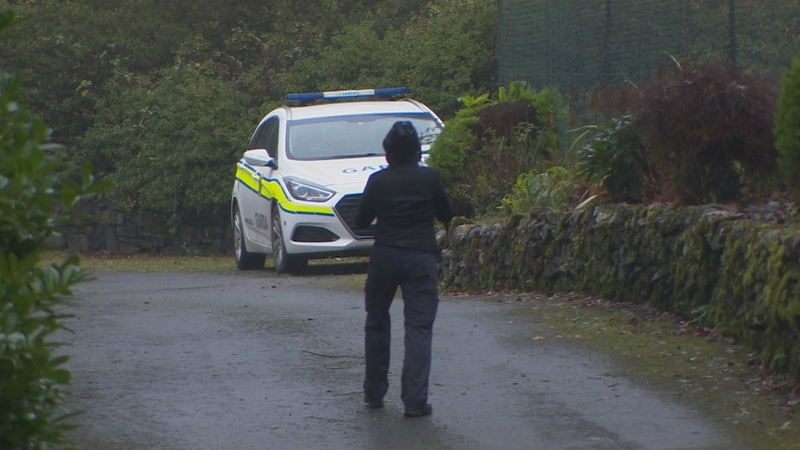 Gardaí are investigating what they describe as a criminal damage incident