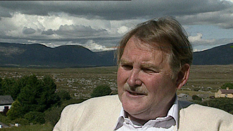 Proinsias Mac Aonghusa, Iar-Chathaoirleach Bord na Gaeilge