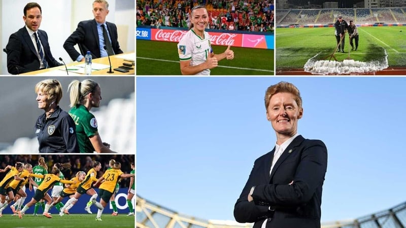 It's been a year of thrills and spills for the Republic of Ireland