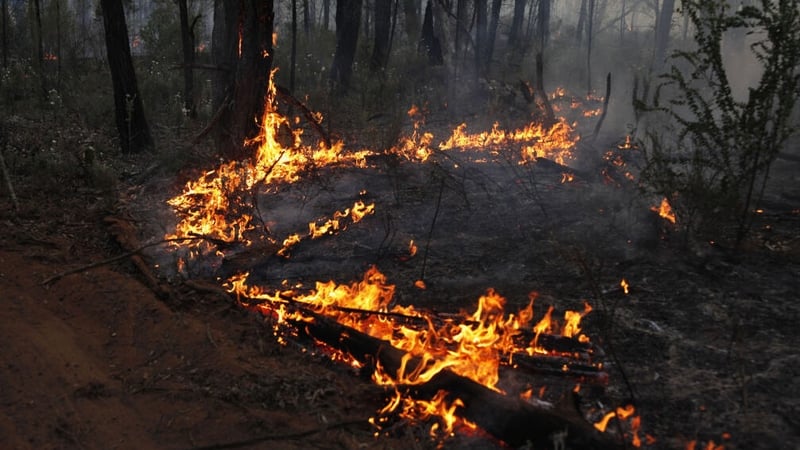 Fires have been burning in the Narrabri area, northwest of Sydney