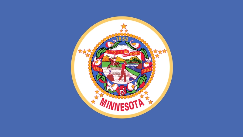 The previous flag, which included the state seal containing the controversial imagery, was described as 'a cluttered genocidal mess'