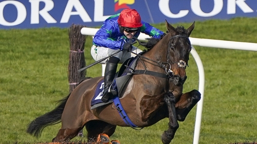 Monbeg Genius ran poorly at Kelso and Cheltenham on his two most recent outings