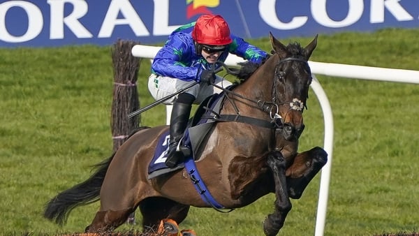 Monbeg Genius ran poorly at Kelso and Cheltenham on his two most recent outings