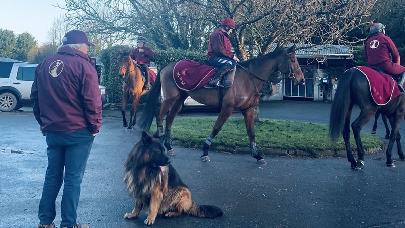 Big race days at Leopardstown, Limerick and Downroyal loom for the likes of Mouse Morris and his equine cohorts