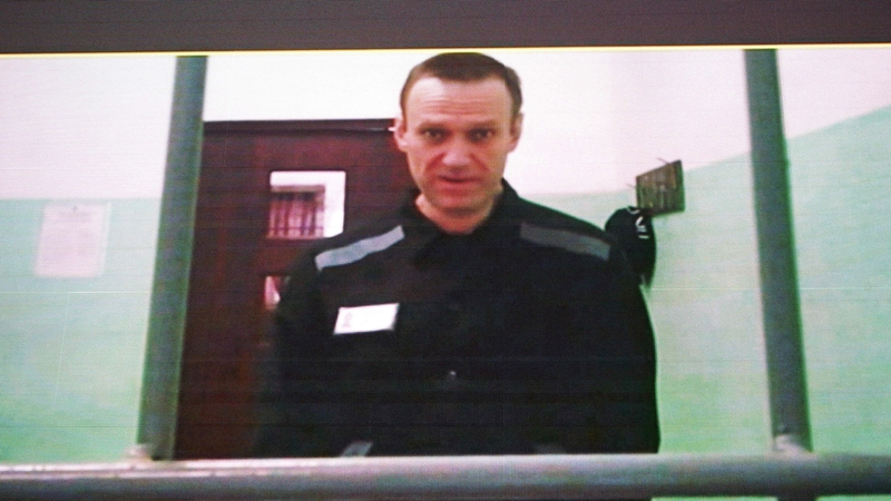 Jailed Russian opposition figure Alexei Navalny is seen on a screen via a video link from his penal colony during court hearings last June (file image)