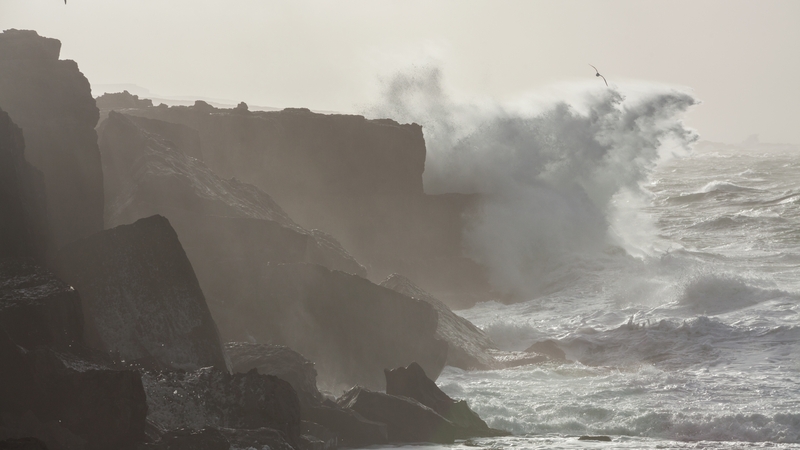 The forecaster issued a Status Yellow rain and wind warning for eight counties on the west coast (File image)