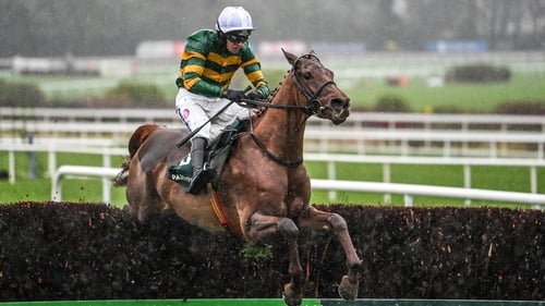 Dinoblue will head back to Cheltenham and attempt to go one place better in this year's Mrs Paddy Power Mares' Chase
