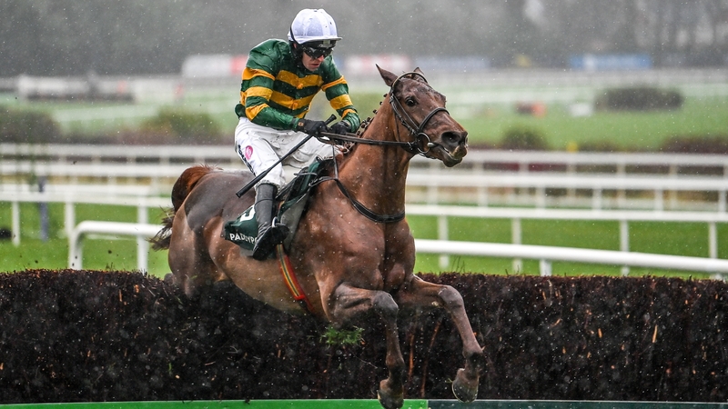Dinoblue, with Mark Walsh up, en route to victory at Leopardstown