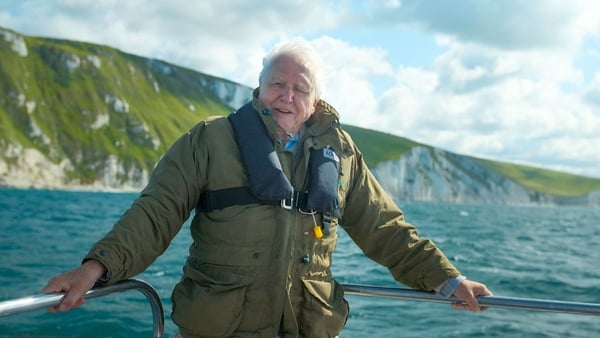 What is it like to work with David Attenborough?