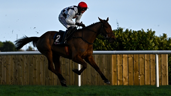 Ballyburn is favourite for the Supreme Novices' Hurdle