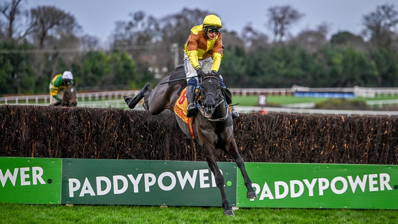 Gerri Colombe was a distant second behind Galopin Des Champs in the Savills Chase
