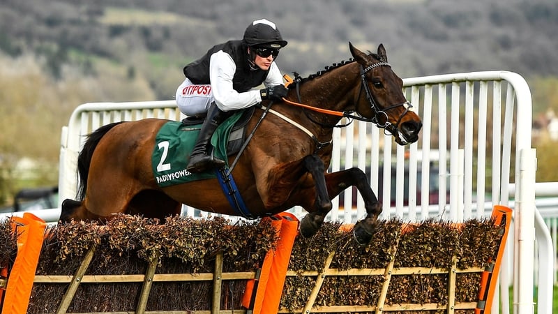 Flooring Porter, with Danny Mullins up, jumps the last, first time around, in the Stayers' Hurdle at the 2022 Cheltenham Festival