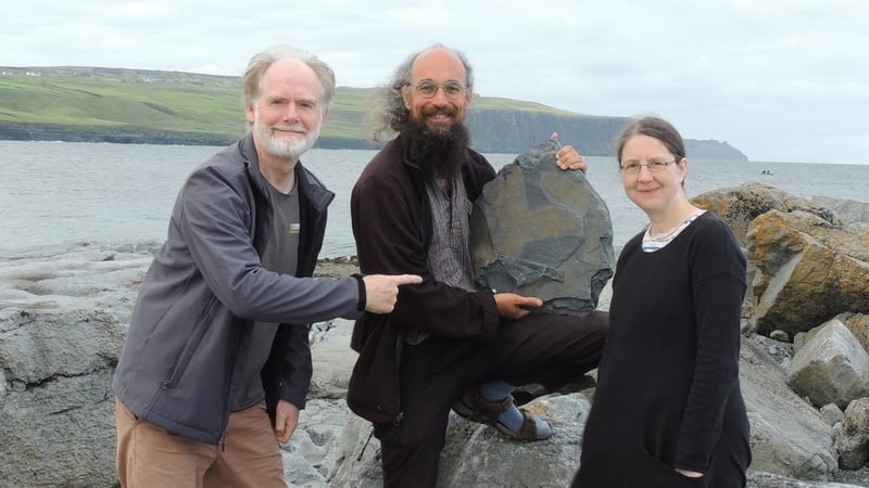 Dr Eamon Doyle, Dr Joseph Botting and Dr Lucy Muir with the new fossil sponges discovered near the Cliffs of Moher