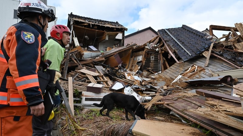 A rescue dog joins firefighters searching for people in the rubble of a collapsed house in the city of Wajima, Ishikawa prefecture