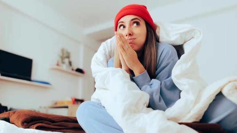 'Hibernation is deeper and more complex than usual sleep, including dramatic changes in metabolism'. Photo: Nicoleta Ionescu/Shutterstock