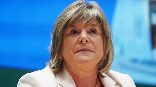 The Government Chief Whip Mary Butler will bring forward proposals to outline the shape of the new committees