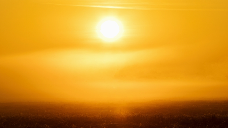 The study found roughly four billion people, 49% of the global population, experienced at least 30 more days of extreme heat than they would have otherwise (Stock image)