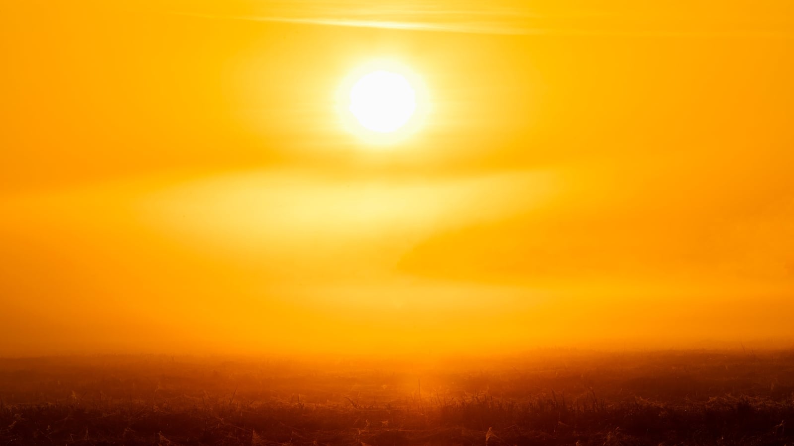 Watch Key Takeaways From Climate Change Report