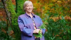 National Tree Week 2026: Éanna Takes A Trip To Tipp show image