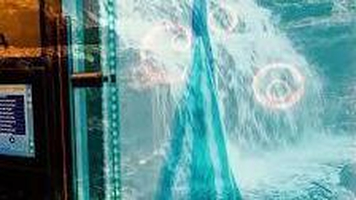 Local Library: Sensory Hub