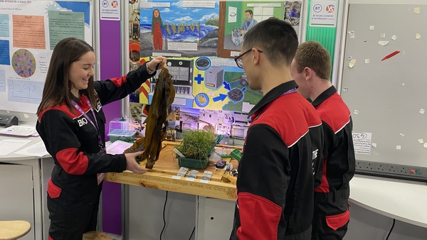 Students from St Joseph's Community College, Kilkee, Co Clare explored how seaweed can be used to make slurry less smelly