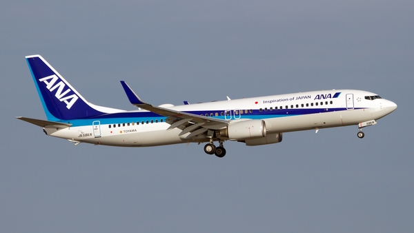 ANA said the crack appeared on the outermost of four layers of windows surrounding the cockpit (File pic)