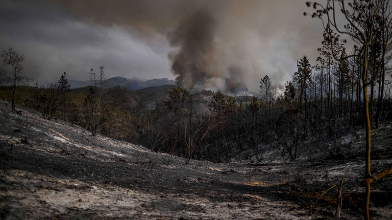 Columns of smoke rise from wildfire in Odeceixe, south of Portugal, last August