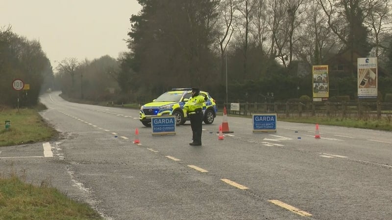 They bring to 10 the number killed on Irish roads so far this year.