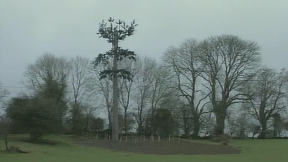 A Telephone Mast desguised as a tree, 1999