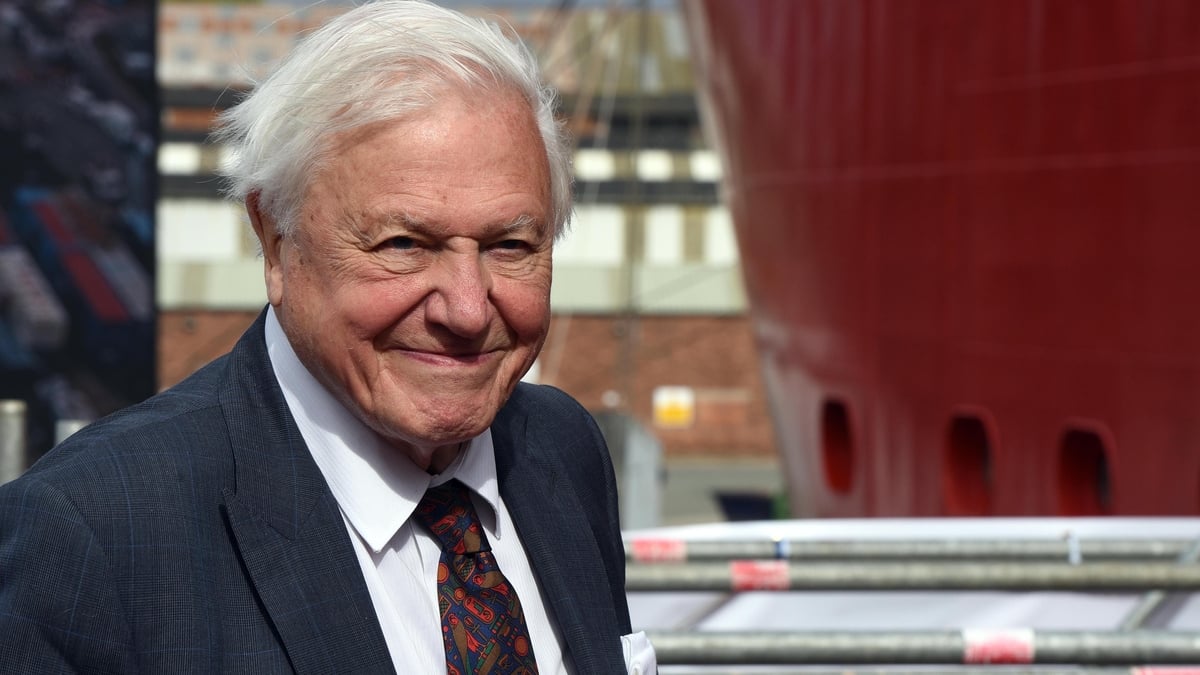 Beloved naturalist Attenborough celebrates 100th birthday
