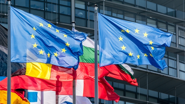 Both the European Parliament and European Council will decide the successful country (File image)