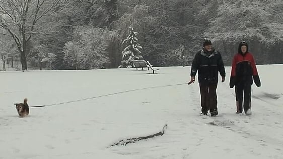 Heavy Snowfall in Ireland, 2009
