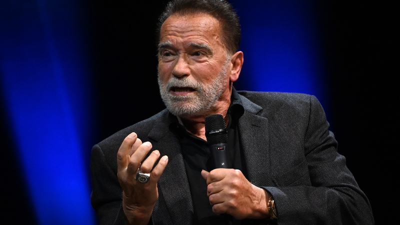 Arnold Schwarzenegger was travelling to Austria for a fundraising dinner when he was detained (File pic)