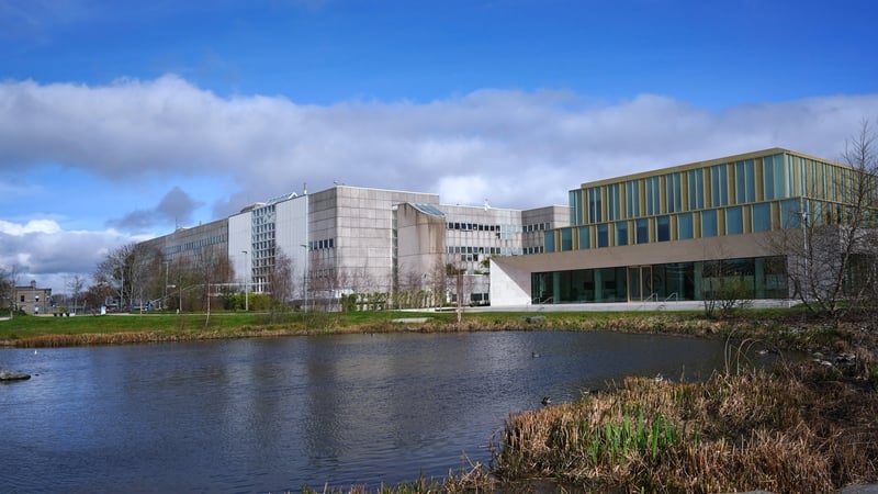 A tribunal has thrown out claims of racist discrimination taken by a homeless academic, who took to bedding down in campus buildings at UCD while he spent 7 years working on his PhD