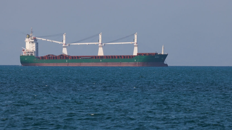 Yemen's Huthi rebels have repeatedly targeted Red Sea shipping in recent months (file pic)