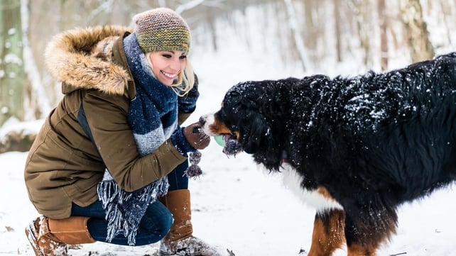 From protecting their paws to wearing coats, here's what pet owners should think about.