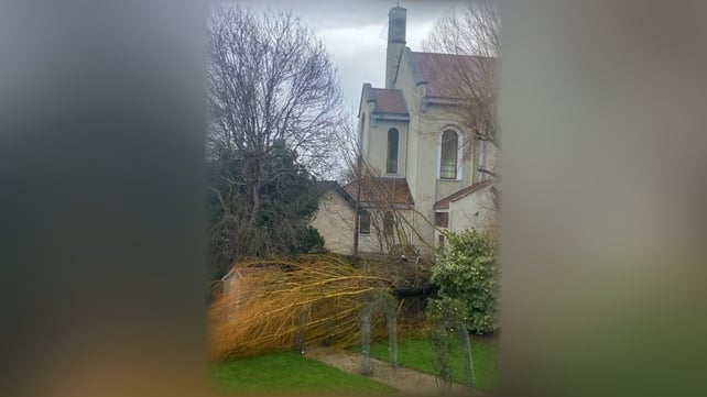 A tree down early today in Churchtown, Dublin