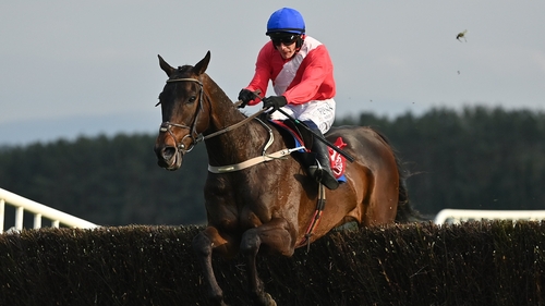 It looks like the Ryanair Chase at Cheltenham on 14 March will be next for Allaho