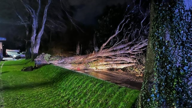 Dublin Fire Brigade responded to a number of incidents throughout the day (Pic: Dublin Fire Brigade)