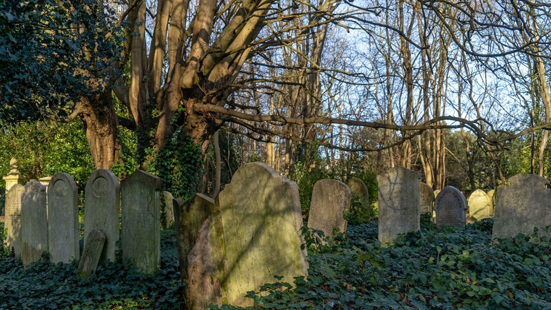 Overgrown vegetation surrounds gravestones in Highgate Cemetery in north London