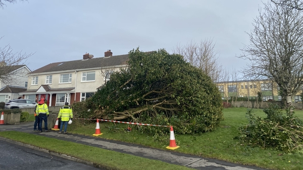 Repair crew removing a fallen tree in Renmore, Galway City, earlier today
