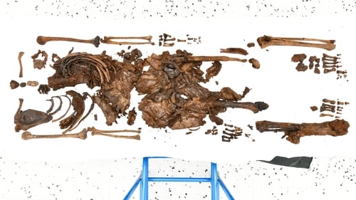 Further research has been carried out following the discovery in 2023