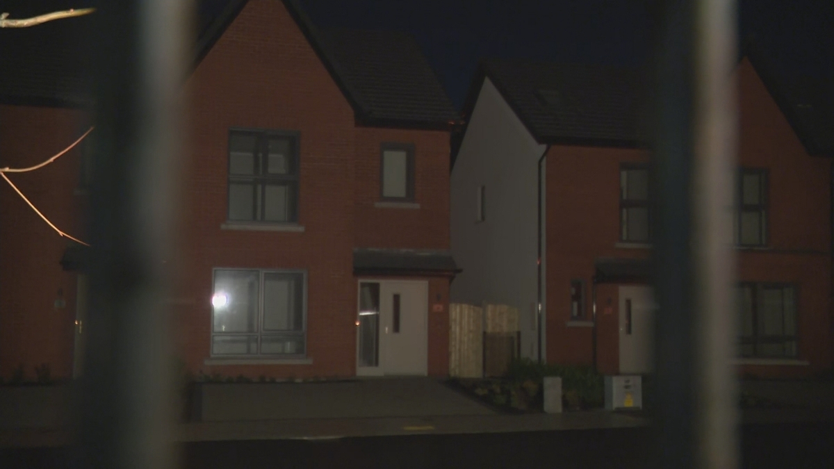 Ryanair buys most of the homes in a new Dublin estate to rent to cabin crew
