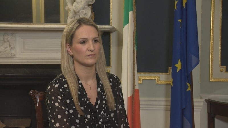 Helen McEntee will bring the plan to Cabinet morning (file image)