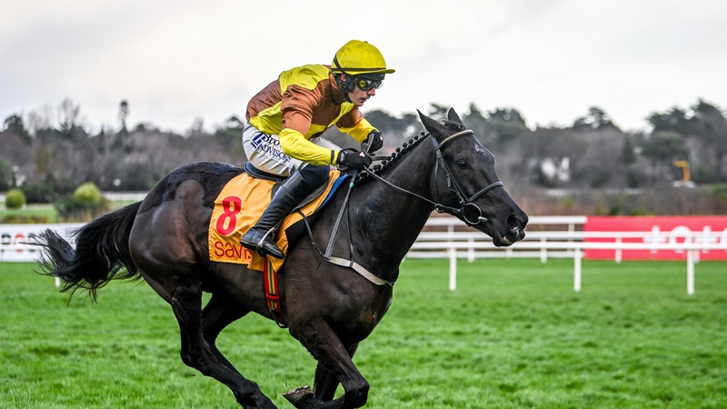 Galopin Des Champs is an odds-on favourite for Saturday's feature