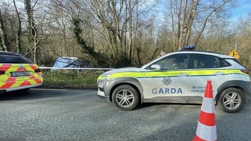 The scene where the skeletal remains were discovered in east Cork