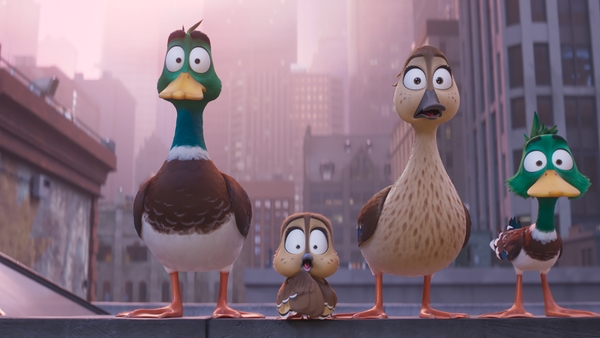 The Mallard family in Migration